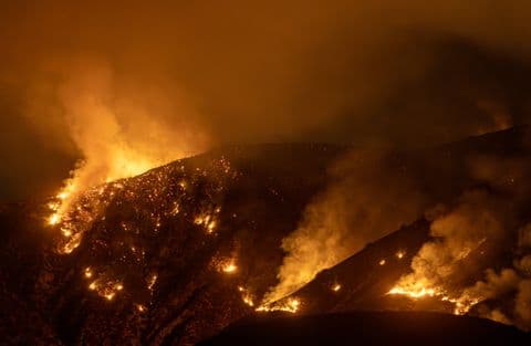 Wildfire burning through a forested area at night